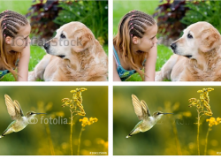 Tips Efektif Lindungi Gambar Digital dengan Watermark