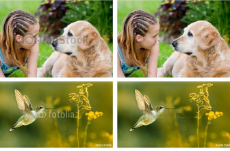 Tips Efektif Lindungi Gambar Digital dengan Watermark