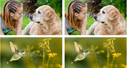 Tips Efektif Lindungi Gambar Digital dengan Watermark