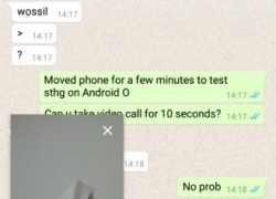 WhatsApp Tambahkan Dukungan Picture-in-Picture untuk Video Call