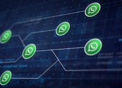 WhatsApp Tambahkan Reaksi Cepat, Share File 2GB , 512 Kontak di Grup