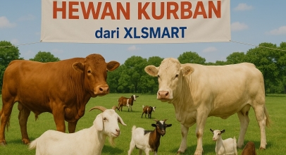 XLSMART Rayakan Idul Adha Berbagi 112 Hewan Kurban
