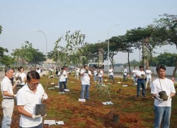 Aeon Mall Alam Sutera Tanam 60 Pohon Pelangi