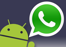 4 Jurus Setingan Penting Soal Privasi WhatApp