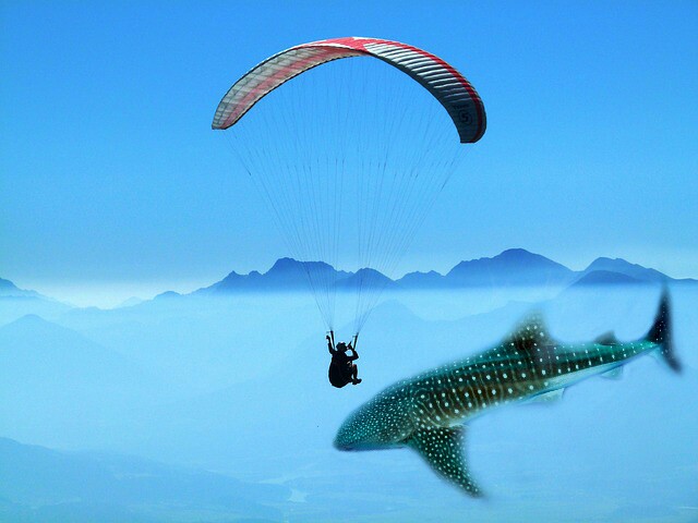 Bikin Foto “Up and Up” a la Video Clip Coldplay