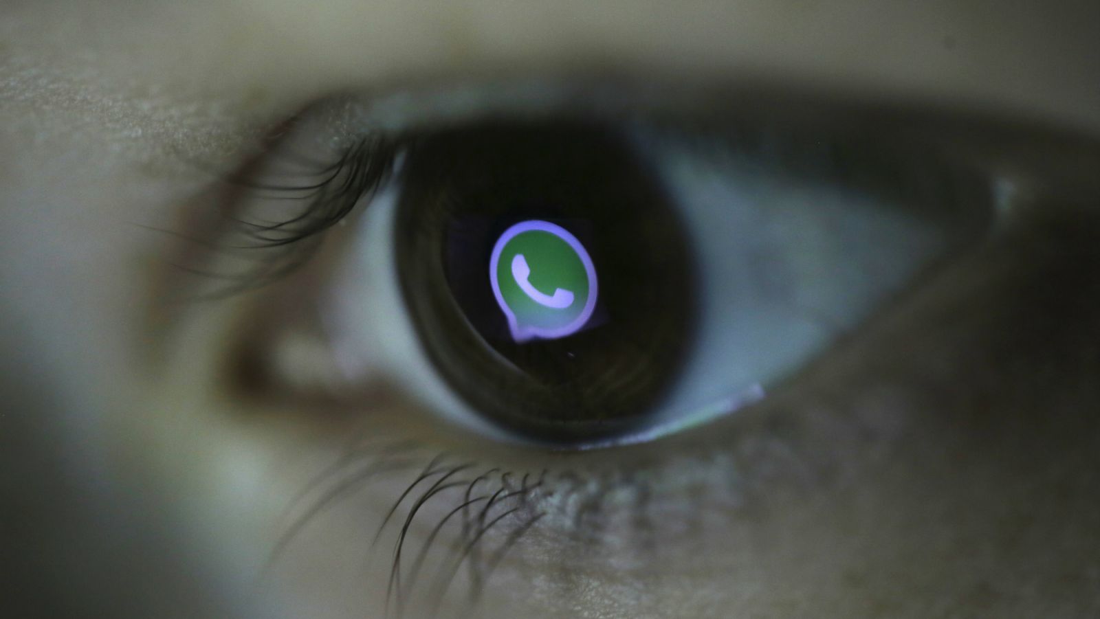10 Fitur Unik di WhatsApp