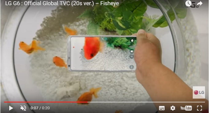 Asyik! LG G6 Diajak Berenang Bersama Ikan
