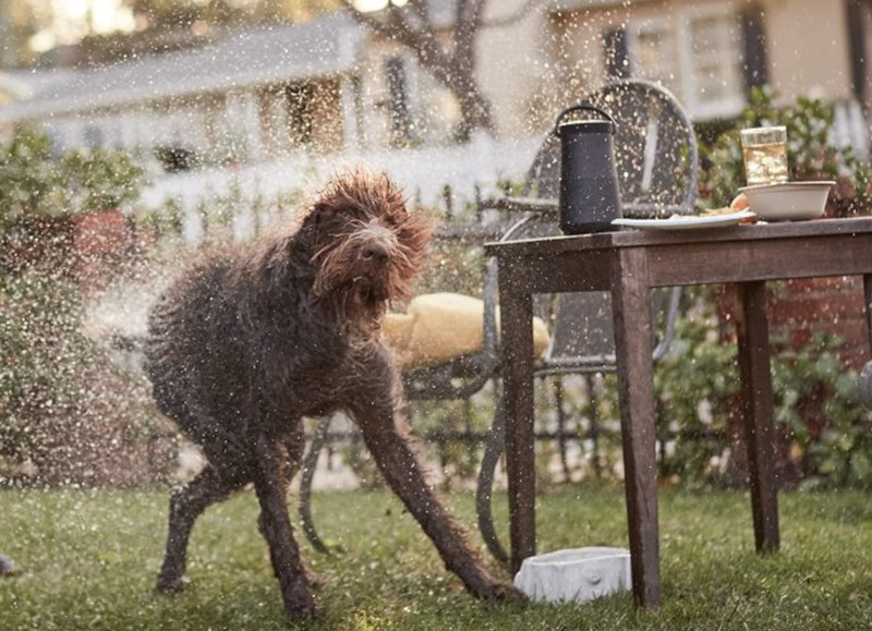 Wow! Dua Speaker Bluetooth Bose Siap Hidup Walau Hujan