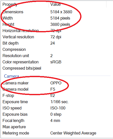 Menakjubkan!!! Inilah Exif Foto OPPO F5