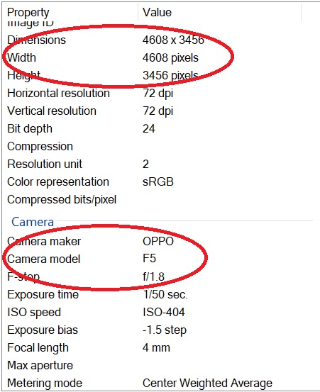 Geger!!! Inilah Hasil Exif Foto Kamera Primer OPPO F5