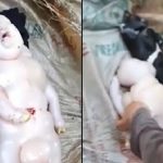 Setengah Babi Setengah Manusia