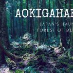Aokigahara
