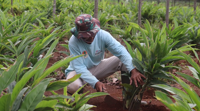 Erajaya Peduli Bangsa Angkat Petani