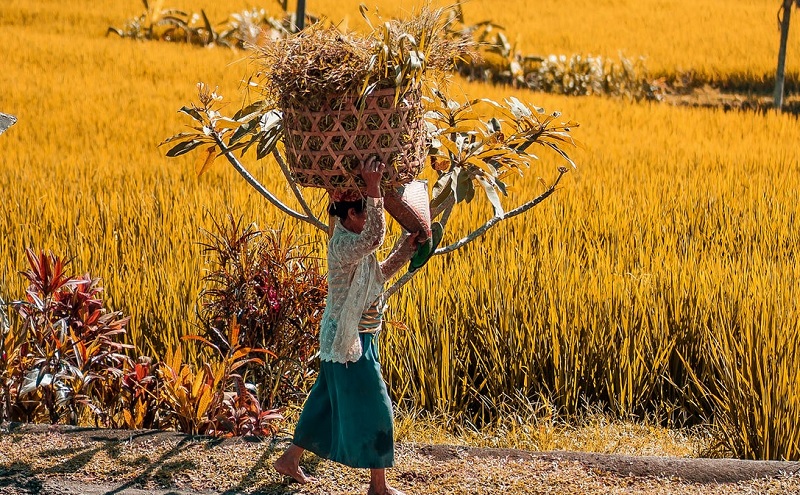 Pemberdayaan Perempuan Belum Memadai