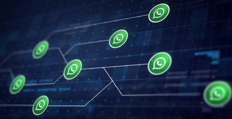 WhatsApp Tambahkan Reaksi Cepat, Share File 2GB , 512 Kontak di Grup