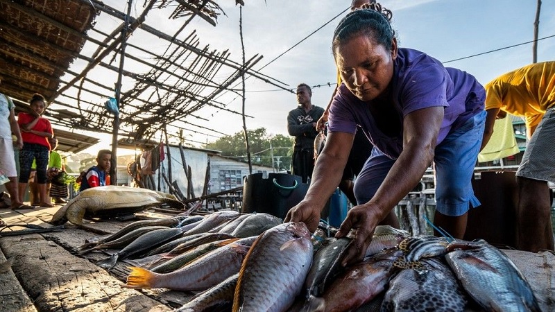 Pertemuan W20 Digelar di Manokwari
