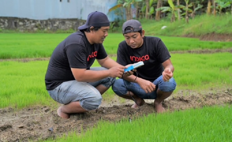 Indico Telkomsel Lakukan Digitalisasi Pertanian di Wonogiri