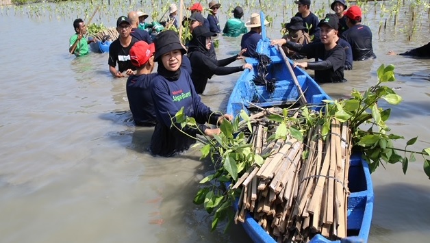 Tukar Telkomsel Poin untuk Bakau